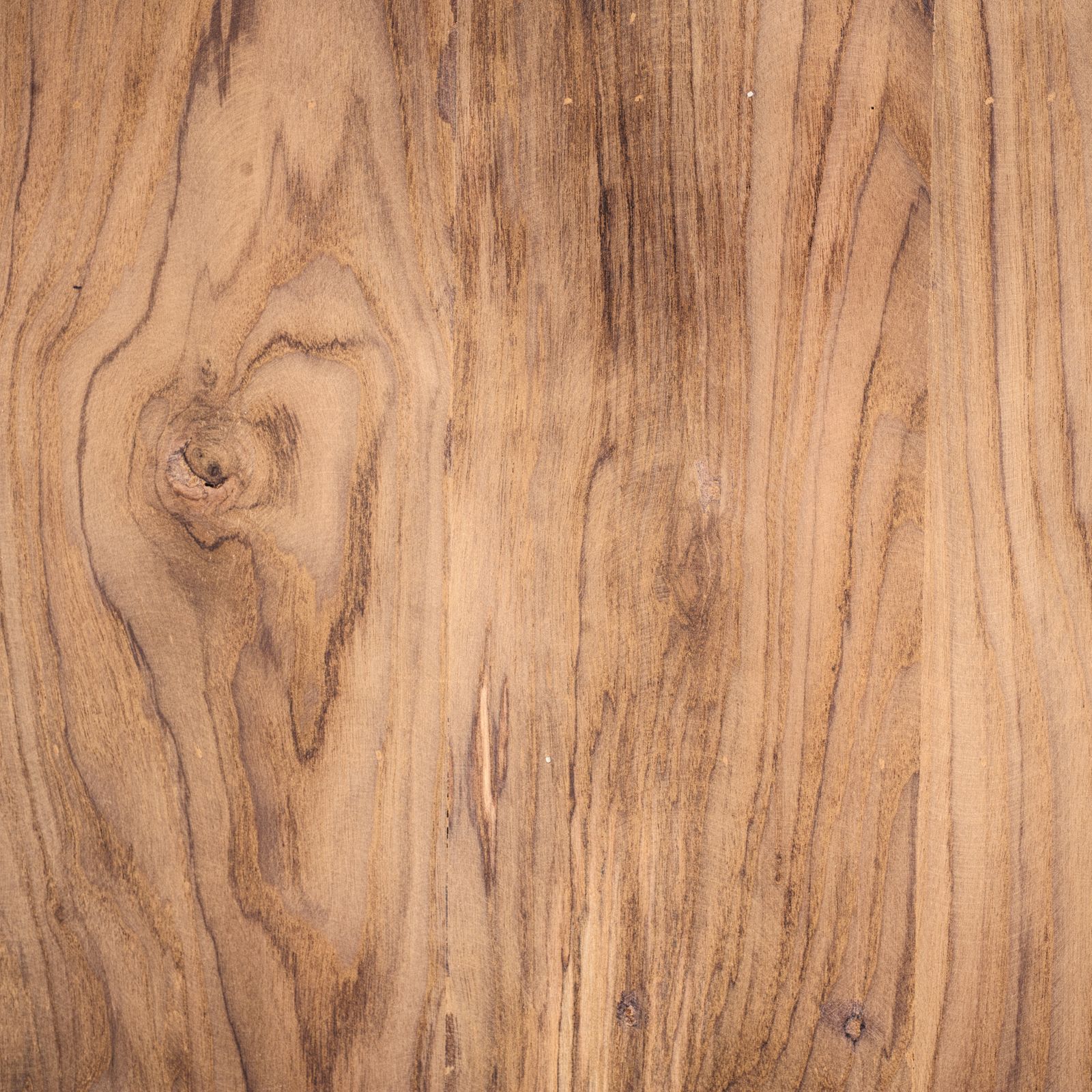 Close view of warm oak grain and its annual lines